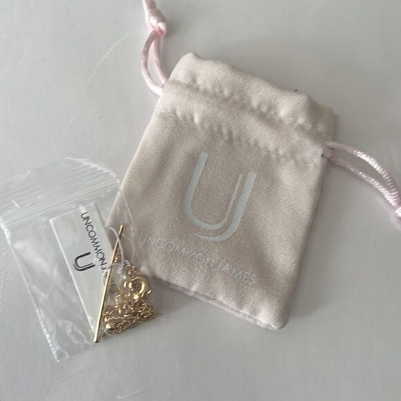 Uncommon James Raise the Bar Higher Pendant - New - Picture 4 of 5